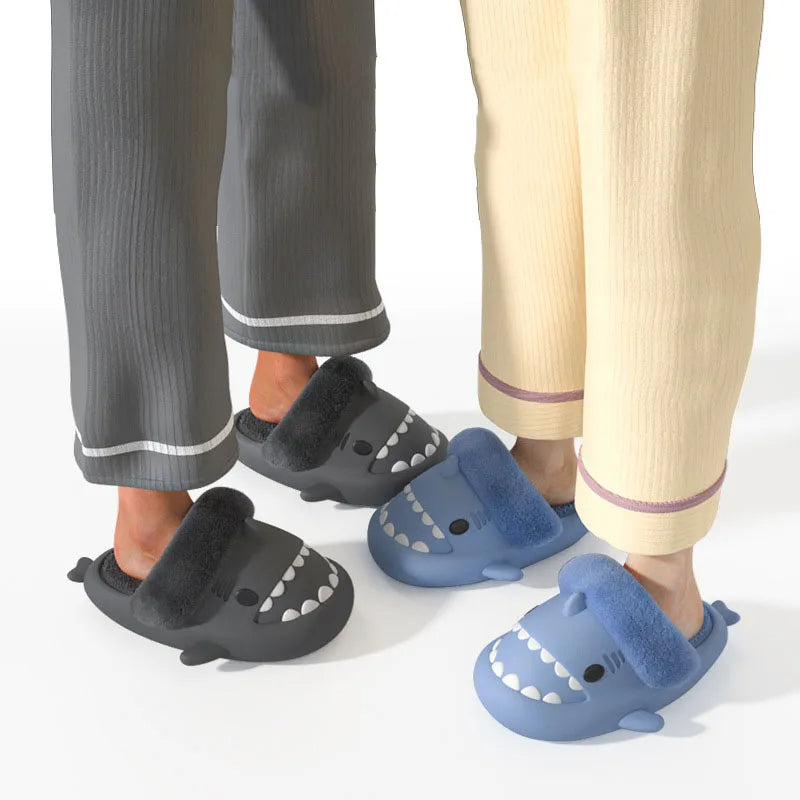 Os chinelos de tubarão - Shark Flip Flops